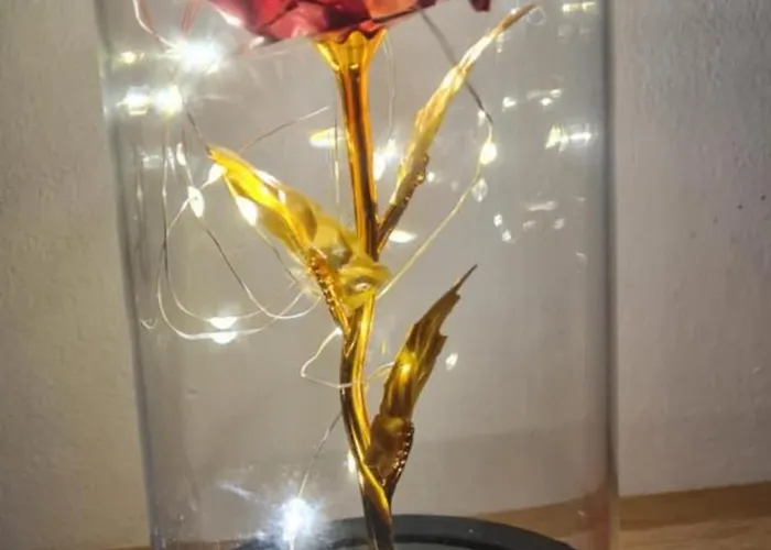 Ca La Mimi, Avec Vue Sur Le Mont Canigo